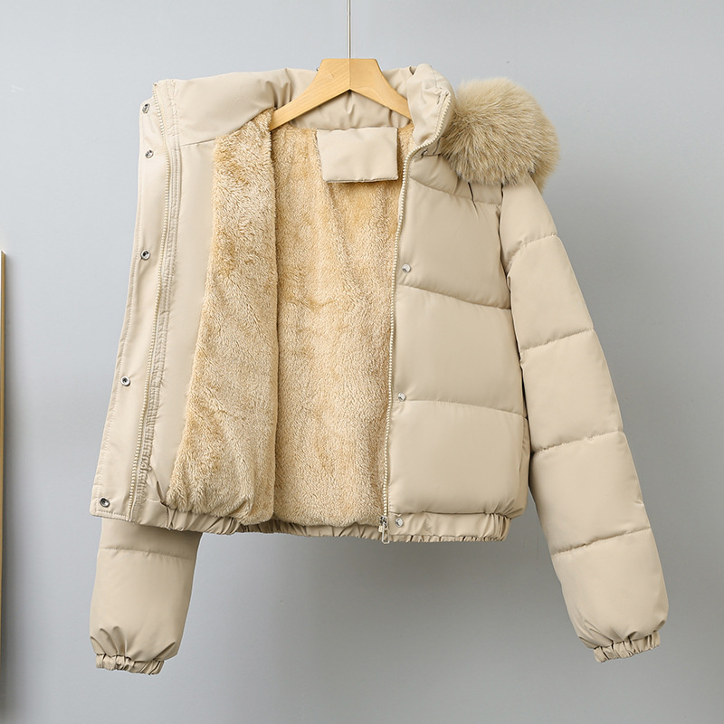 Parkas courts d'hiver pour fem - Wool Coat Peacoat avis et prix